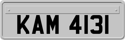 KAM4131