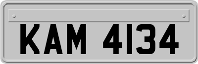 KAM4134