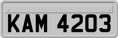 KAM4203