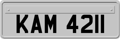 KAM4211