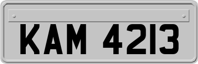 KAM4213