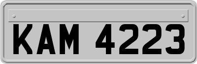 KAM4223