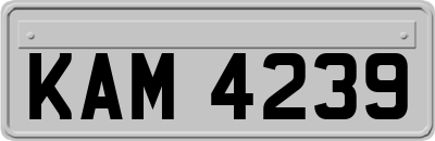 KAM4239