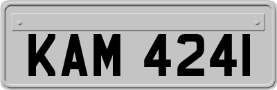 KAM4241