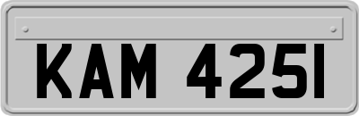KAM4251