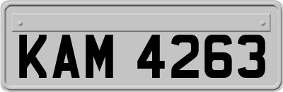 KAM4263