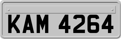 KAM4264