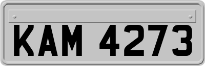 KAM4273