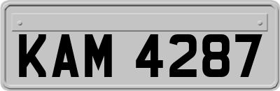 KAM4287