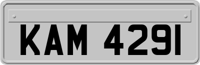 KAM4291
