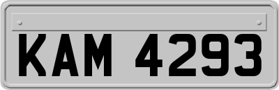 KAM4293