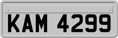 KAM4299