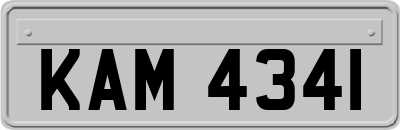 KAM4341