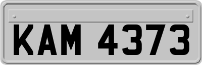 KAM4373