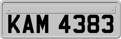 KAM4383