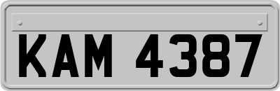 KAM4387