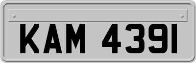 KAM4391