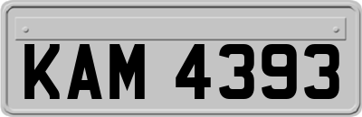 KAM4393