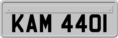 KAM4401