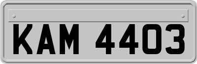 KAM4403