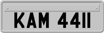 KAM4411