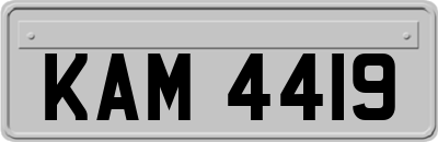 KAM4419