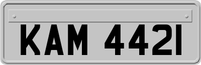KAM4421