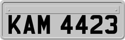 KAM4423