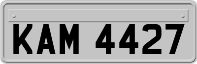 KAM4427