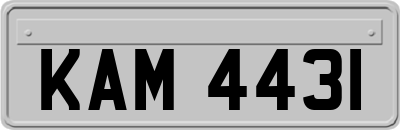 KAM4431