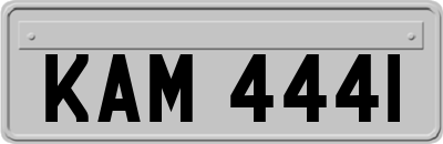 KAM4441