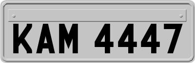 KAM4447