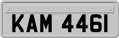 KAM4461