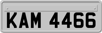 KAM4466