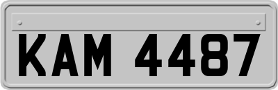 KAM4487