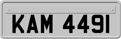 KAM4491
