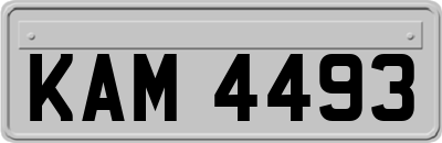 KAM4493