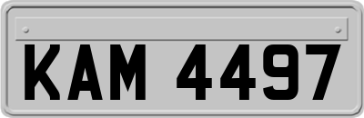 KAM4497