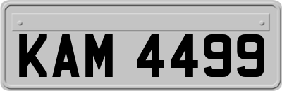 KAM4499