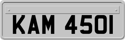 KAM4501