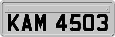 KAM4503