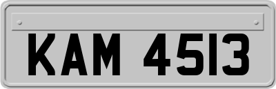 KAM4513