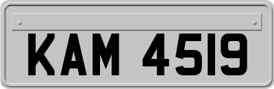 KAM4519