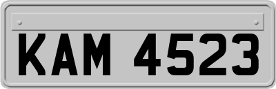 KAM4523
