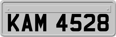 KAM4528