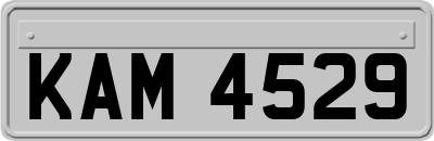 KAM4529