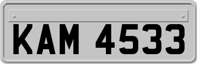 KAM4533