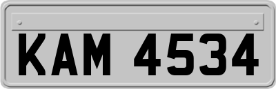 KAM4534