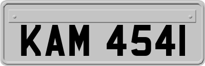 KAM4541