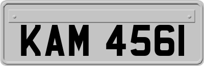KAM4561